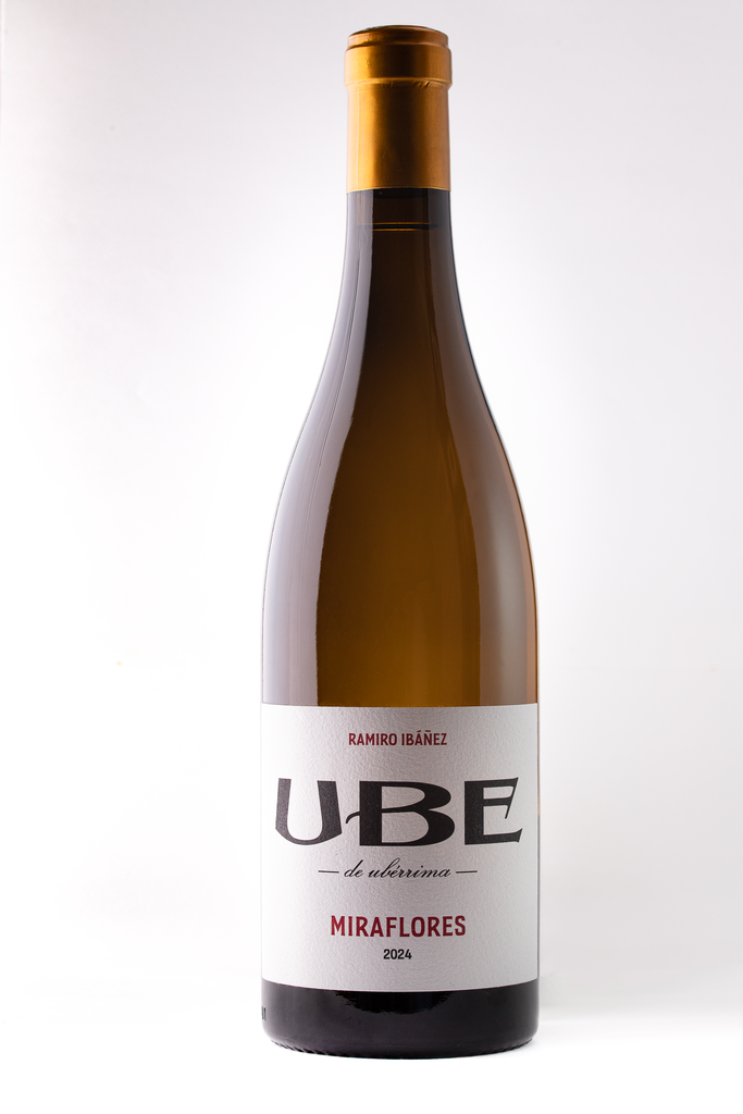 UBE Miraflores 2024
