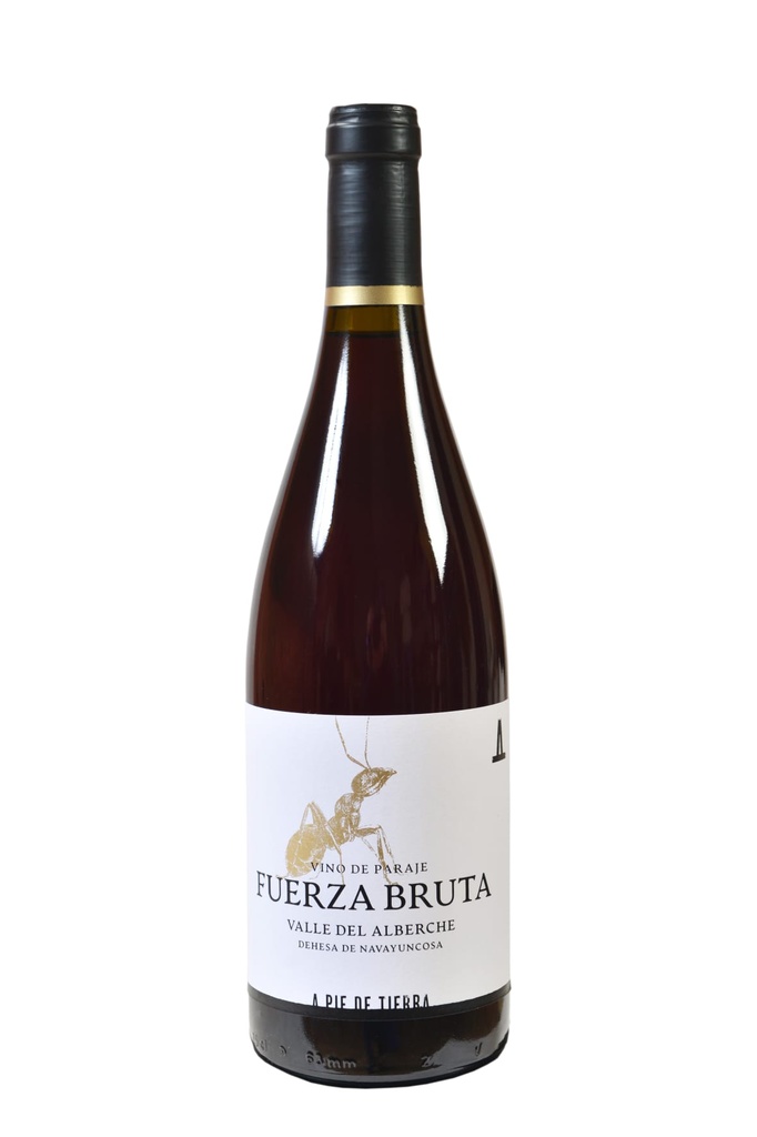 Fuerza Bruta 2024