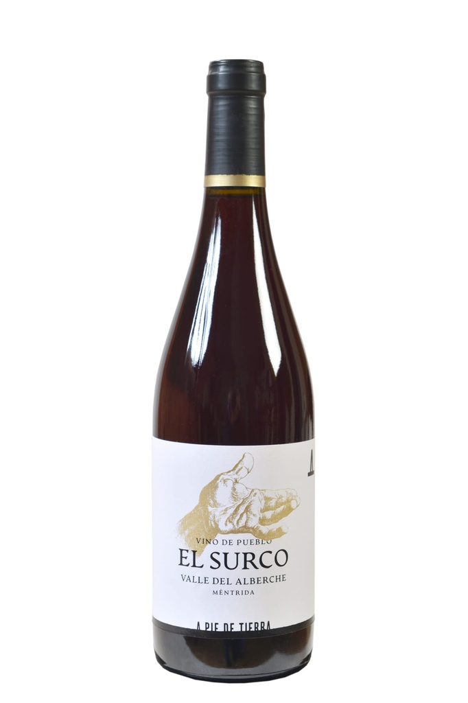 El Surco 2024