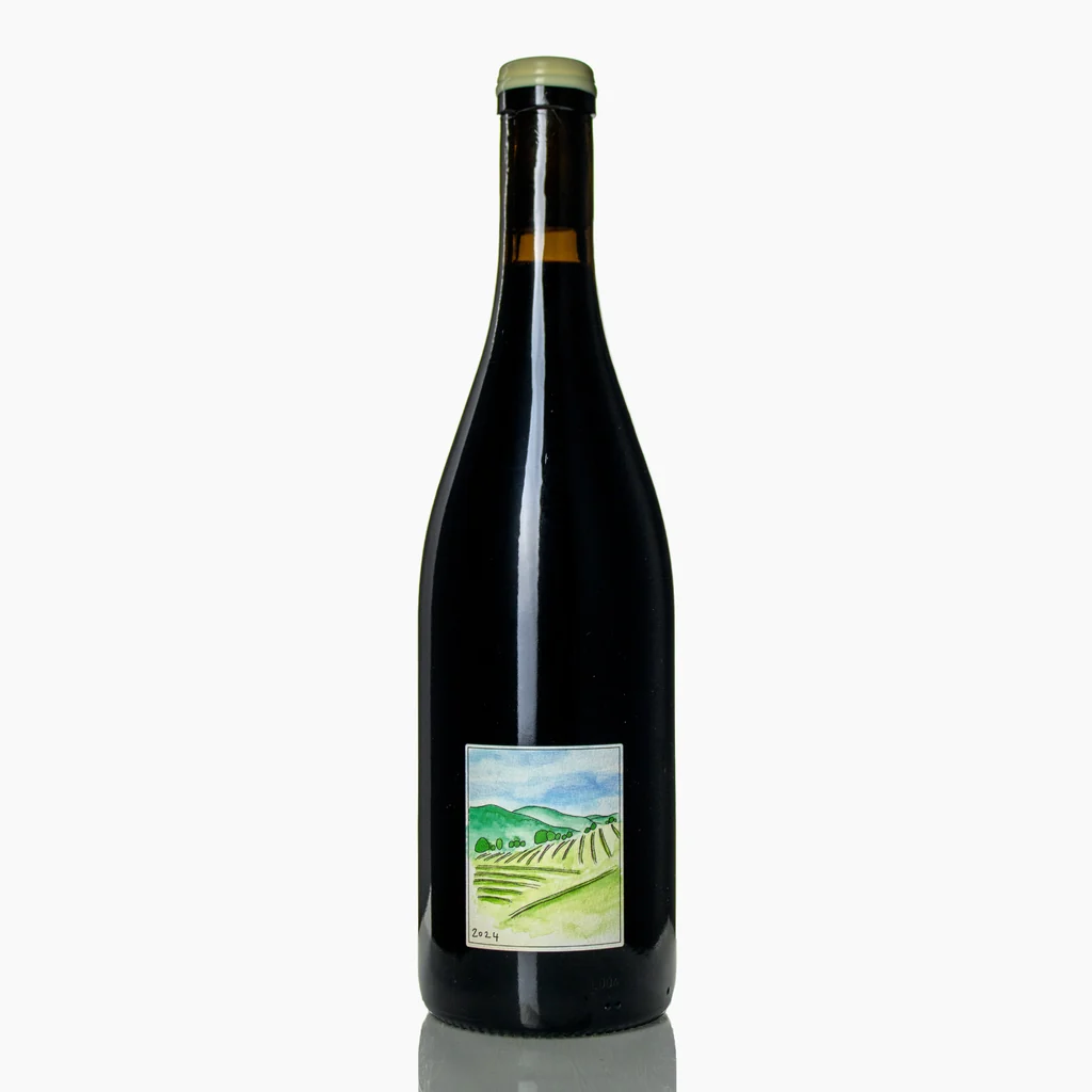 Syrah du Plateau 2024