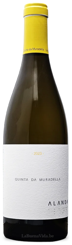 Alanda Blanco 2023