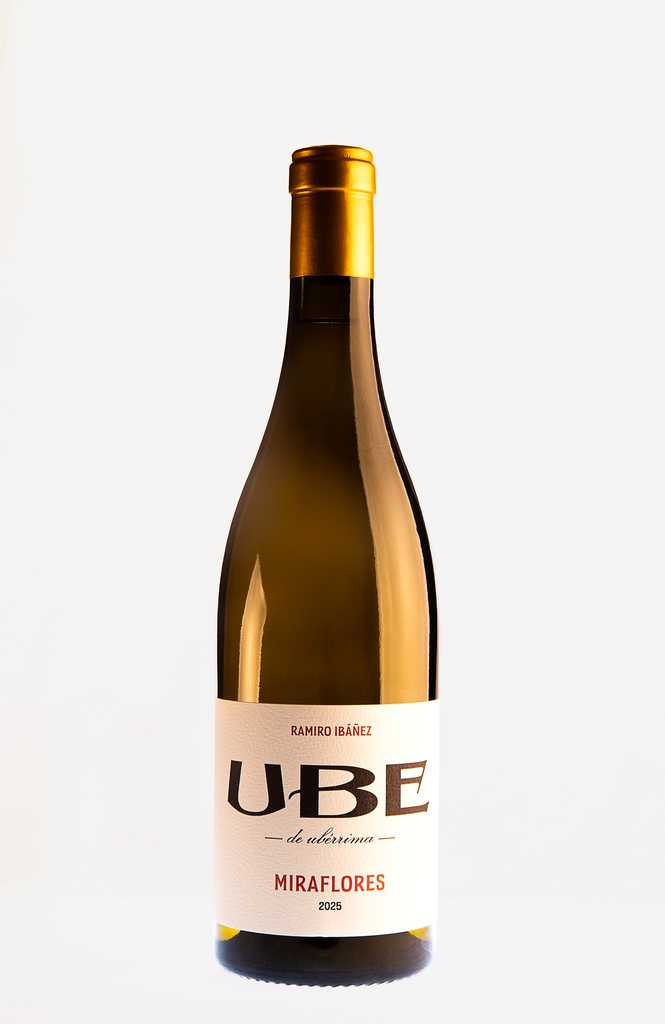 UBE Miraflores 2025