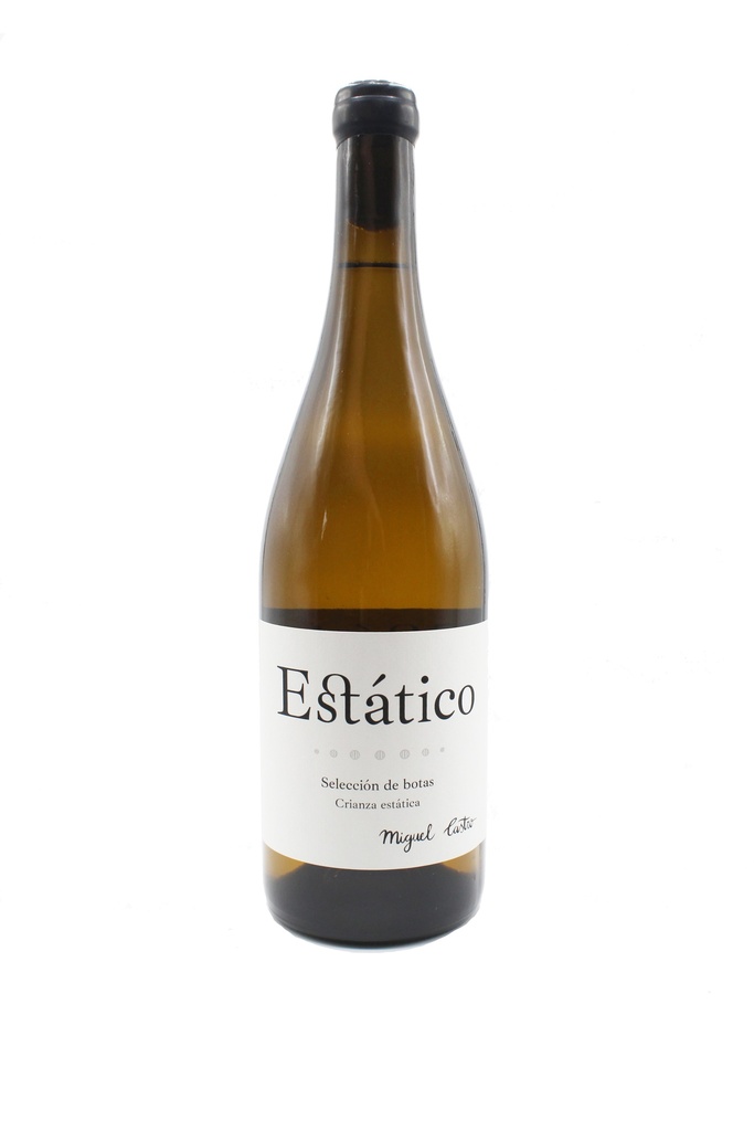 Estático 2021