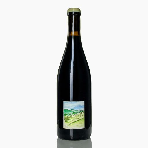 Syrah du Plateau 2024