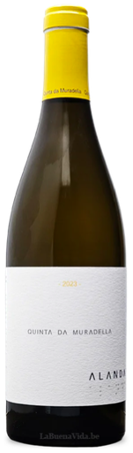 Alanda Blanco 2023