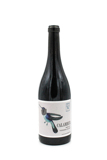 Calambur Moravia 2018