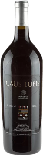 Caus Lubis 1998 Magnum